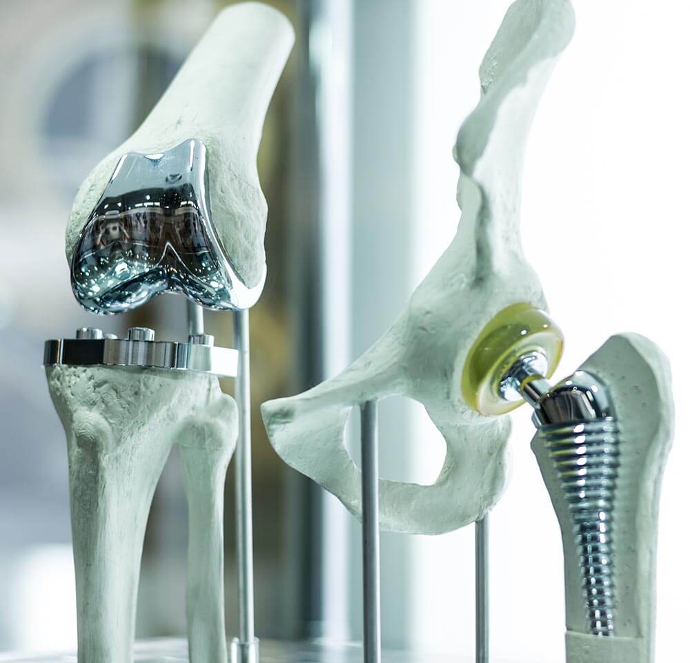pelvic bone display 