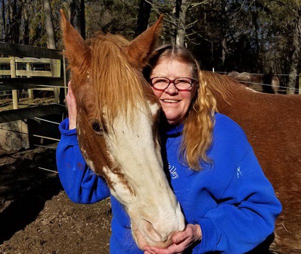 A lady in a blue sweatshirt is gently holding a brown horse in Brownsburg, IN